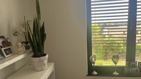 Do wynajęcja wom wolnostojący na Oś . Arkońskim - Zdjęcie 5