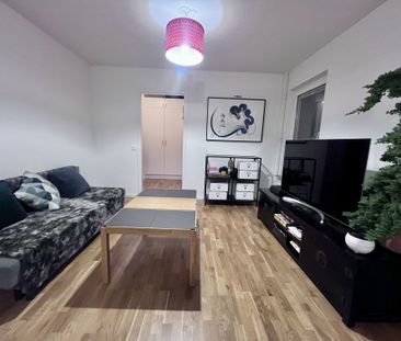 Gaffelseglet, Vega - Photo 2