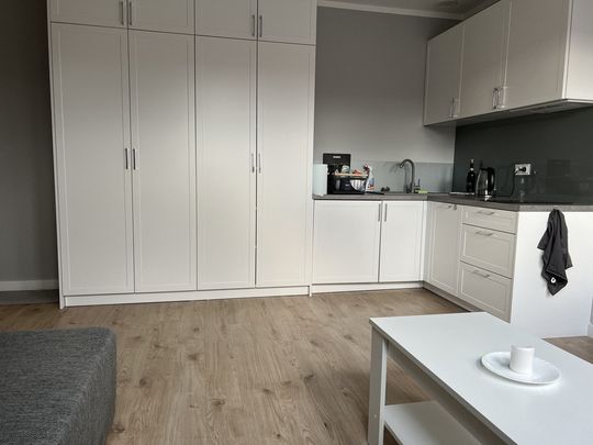 Kawalerka w Centrum miasta - Photo 1