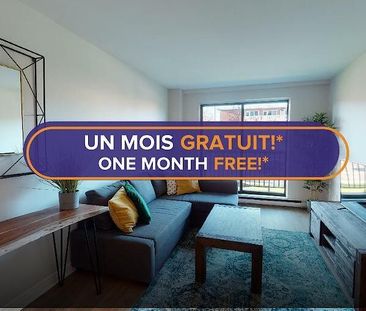 1121 Rue Mistral, Montréal, QC - Photo 4