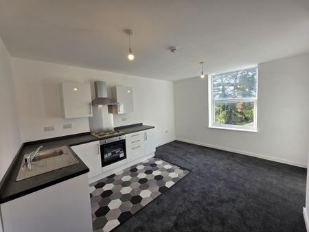 1 bedroom flat to rent - Photo 3