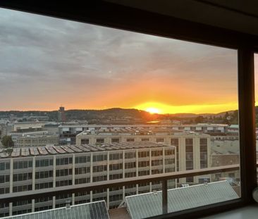 3.5 Zimmer, 97 m², 11. Stock - Photo 5