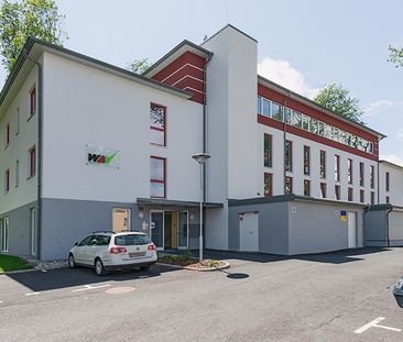 barrierefreie Wohnung in Groß Siegharts - Photo 6