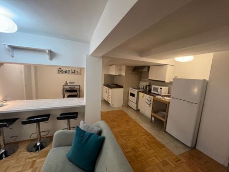 For Lease - 15 Blithfield Avenue Unit# Basement 2, Toronto, Ontario - Photo 3