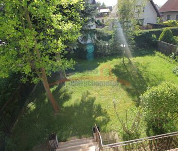 Gumieńce, ul. Osikowa, Szczecin - Zdjęcie 2