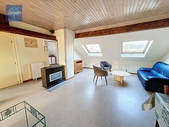 Appartement T2 Schiltigheim à louer - Photo 1