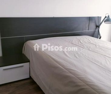 Piso en alquiler en Paseo del Arco de Ladrillo, 66 - Photo 6