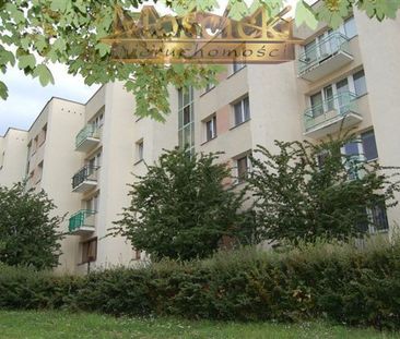 Warszawa, Ursynów, Natolin, Mandarynki - Фото 2