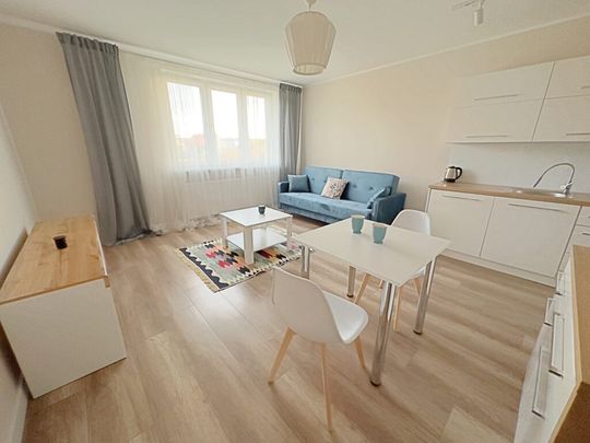 Do wynajęcia mieszkanie 44 m2 – 2 pokoje – 3 piętro, ul. Babina 11 w Kaliszu - Zdjęcie 1