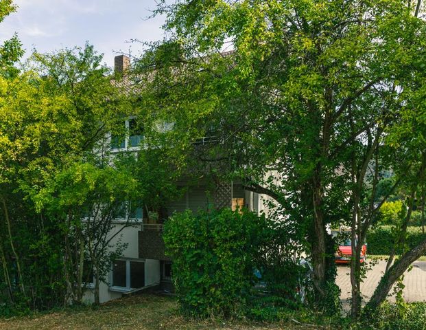 Demnächst frei! 3-Zimmer-Wohnung in Bad Dürkheim - Foto 1