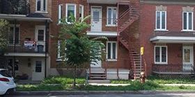 GRAND APPARTEMENT 6 1/2 - Photo 3