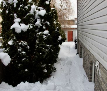 For Lease - 803 Wild Rose Lane, London North, Ontario - Photo 6