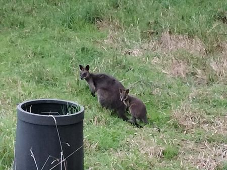 Belgrave South - Photo 4