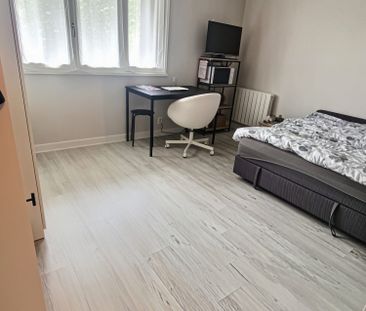 Location Appartement 1 pièce 20m² CHAMALIERES 63400 - Photo 1