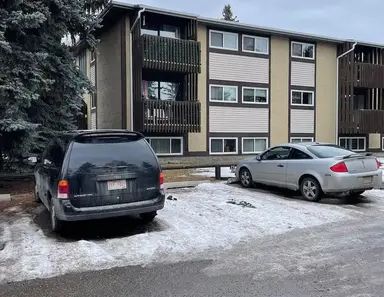 Freshly Renovated 1 Bed Room Condo | 50 - 366 94 Avenue SE, Calgary - Photo 1