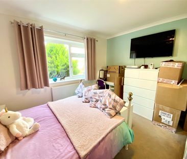 Cedar Close, Chard, TA20 - Photo 6