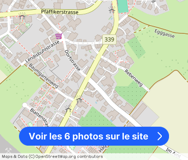 2.5 Zimmer, 60 m², EG - Photo 1