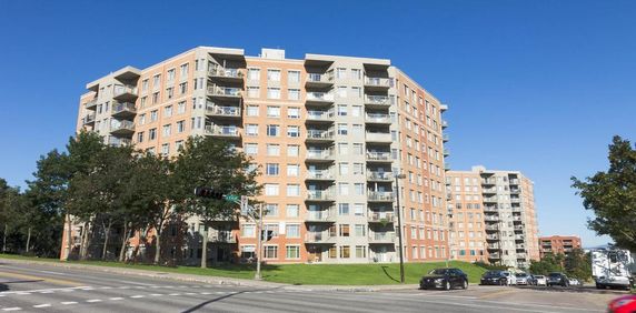 Penthouse luxueux - 4 1/2 - Ste-Foy-immeuble de prestige - août - Photo 2