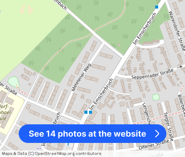 2.5-Zimmer-Wohnung in Gelsenkirchen-Resser Mark mieten - Photo 1