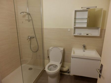 T2 Lingolsheim ROETHIG - EGLISE STE CROIX - Photo 4