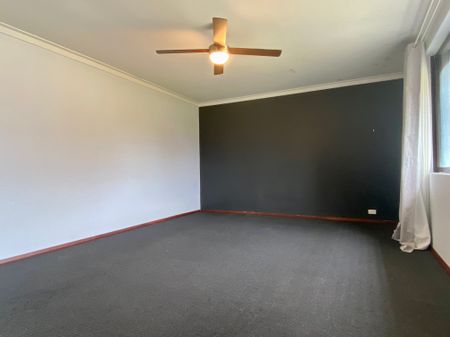 Charming and Charismatic! - Photo 4