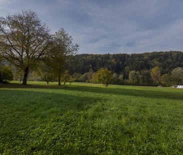 2.5 Zimmer, 64 m², 2. Stock - Photo 6