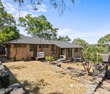 Updated Family Home in Peaceful & Convenient Location - Photo 1