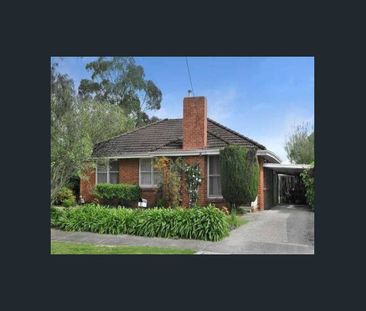 GREAT LIFESTYLE - Photo 3