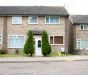 Spacious 4 Bedroom House, Colchester - Close to Uni - Photo 5