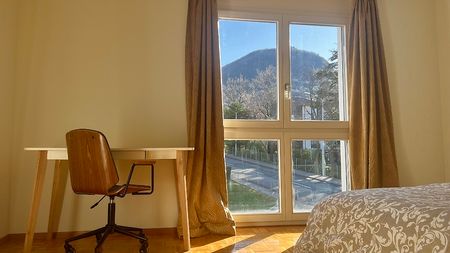 3½ Zimmer-Wohnung in Pregassona (TI), möbliert - Photo 2