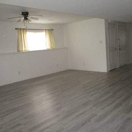 Incredibly Spacious, Beautiful And Bright Includes Utilities! - Photo 1