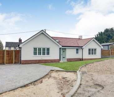 3 bedroom bungalow to rent - Photo 4