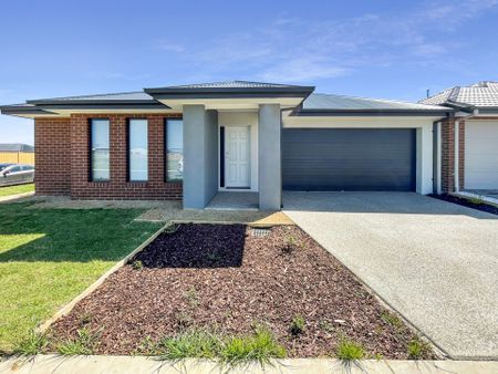 9 Goldsborough Street, Bonshaw - Photo 4