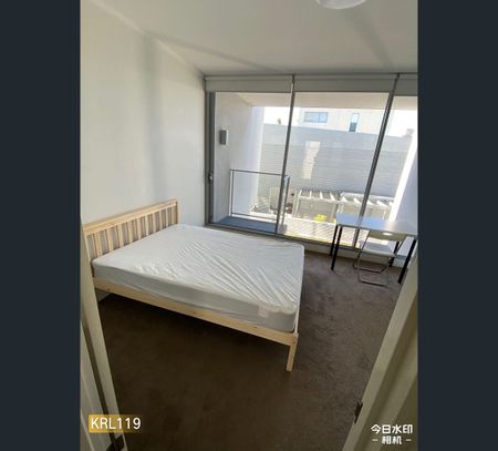 A-Fully Furnish-L4+5/169-175 Phillip st, Waterloo, NSW 2017 - Photo 5