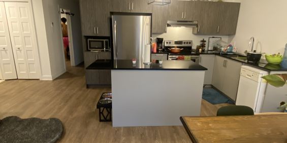 4-1/2 Neuf St-rémi Accepte Animaux - Photo 3