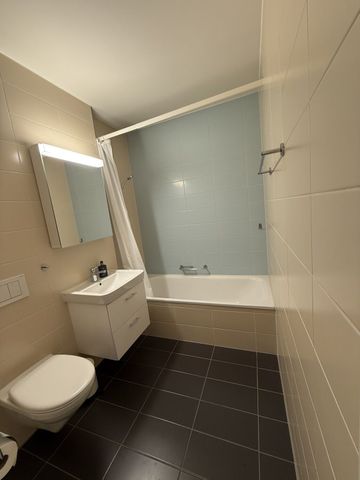 3-ROOM APARTMENT IN BADEN (AG), FURNISHED, TEMPORARY - Foto 4