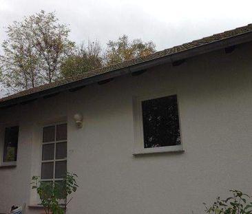 Haus / 3 Zimmerwohnung in Bovenden mit Terrasse und sep. Eingang - Foto 4