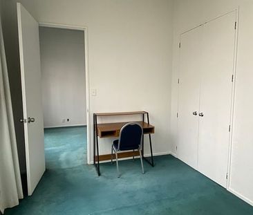 Large 2 bedroom unit Central Auckland CBD - Photo 6