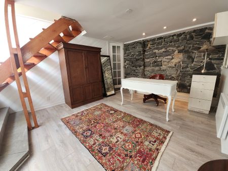 1869 Boul. René Lévesque E., Montréal (Ville-Marie), QC H2K - Photo 4