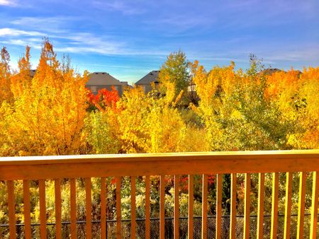 For Lease - 3150 Sunflower Drive, Oakville, Ontario - Photo 4