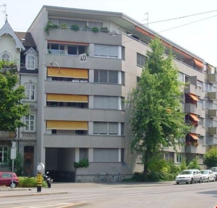 Helle 3.5 Zimmerwohnung nähe Allschwilerplatz - Photo 1