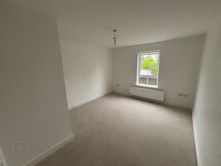 10 Broomhill Courtyard, Magheralin, BT67 0UX - Photo 3
