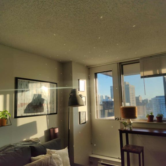 TRANSFERT DE BAIL – Parc Lafontaine - Photo 1