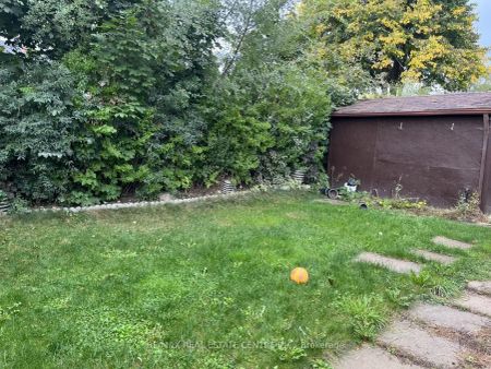 Detached Home For Lease | W9074863 - Photo 5