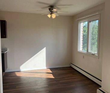 Capital Court - 11510 40 Avenue Northwest — 1 Bedroom - Photo 6