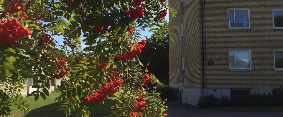 Trollbackevägen 28 - Foto 1