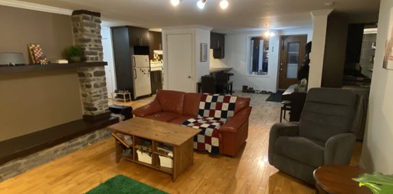 Beau Grand 51/2 Lumineux - Photo 2