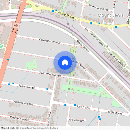 124 Griffiths Ave, Bankstown NSW 2200