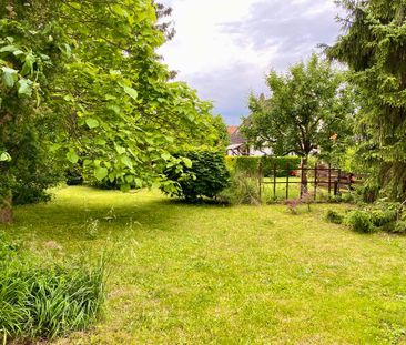 2 Zimmer Wohnung - Photo 1