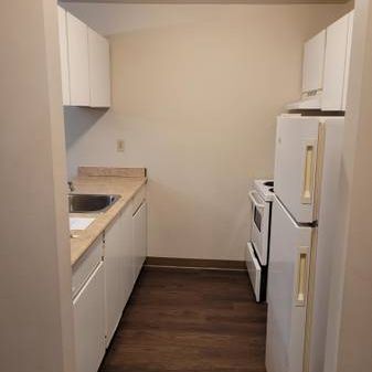 DO NOT PAY TILL MAR 1-Bed ground floor near Blue Mtn Park - Photo 4